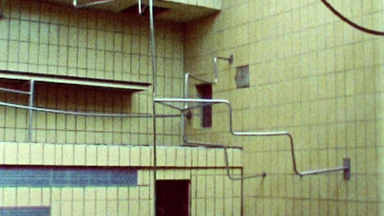 Zoo Enclosures