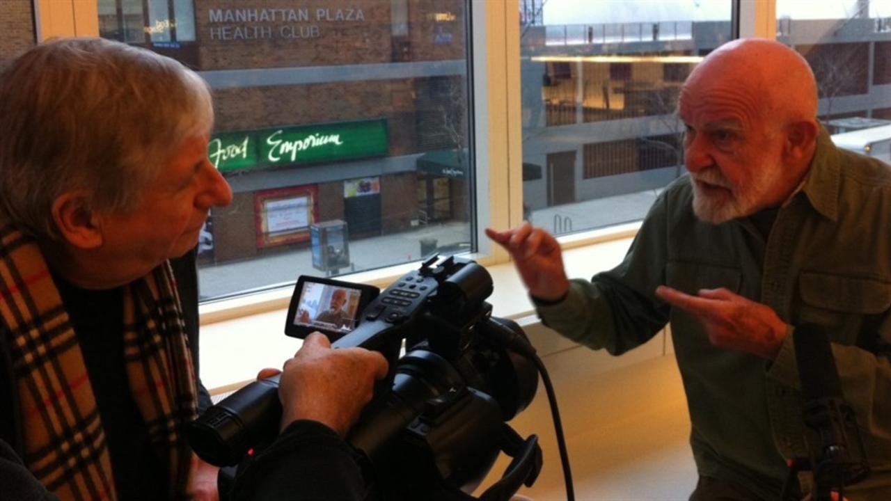 Falls the Shadow: The Life and Times of Athol Fugard