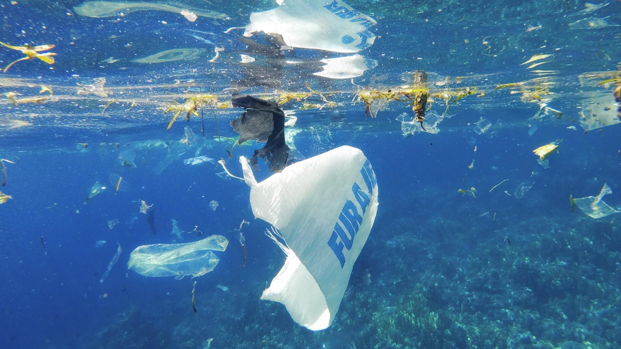Image du film A Plastic Ocean