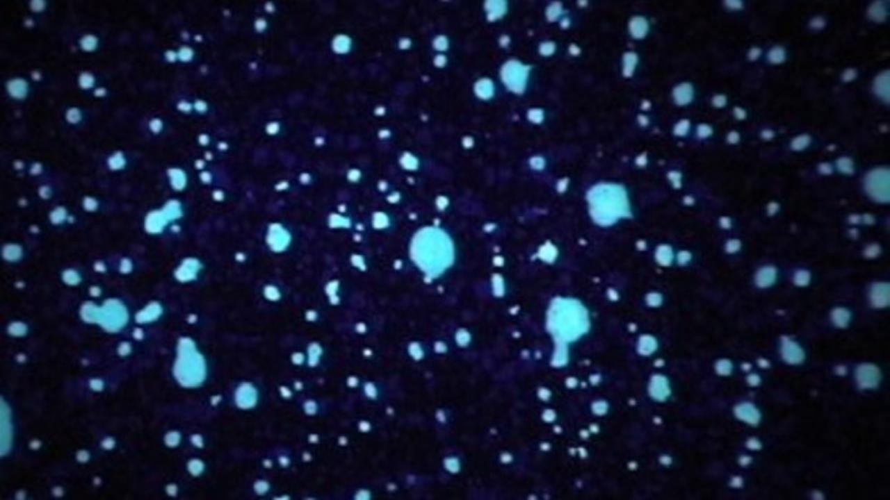 Blue Light