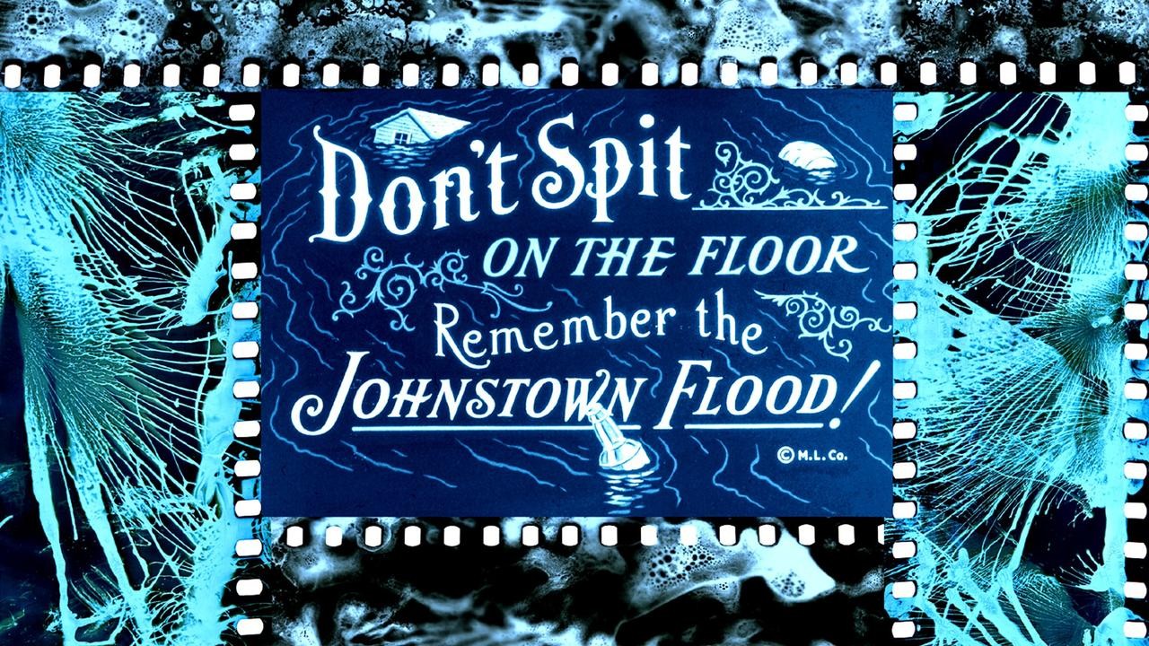 Muse Of Cinema 2007 Mubi