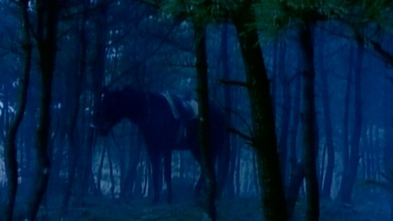 Horse, Woman, Dog