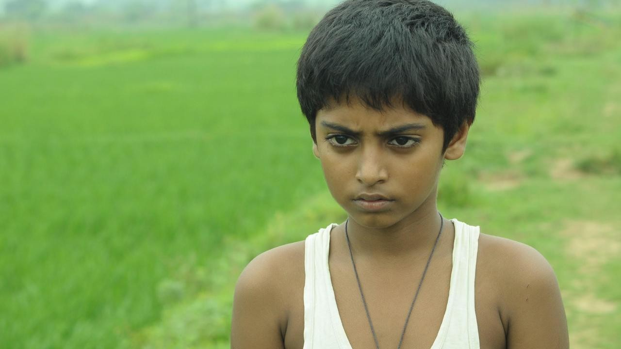 Colours of Innocence