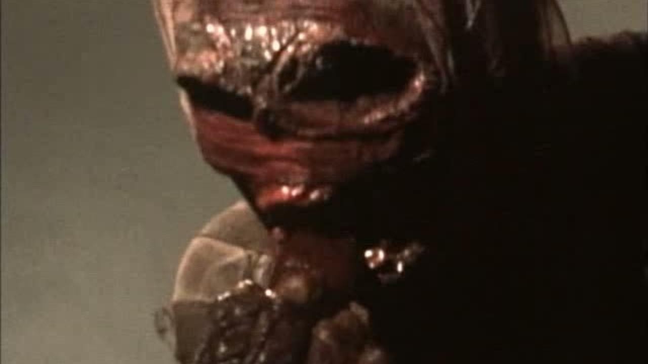 Image du film The Basement