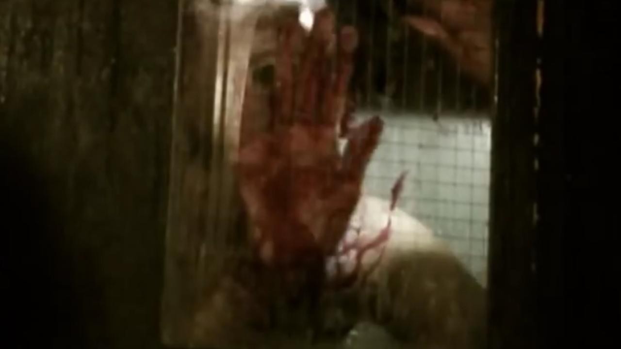 Slaughtered