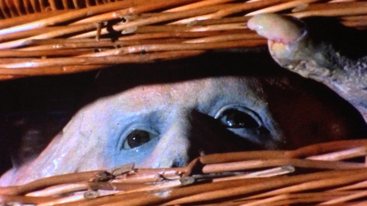 Image du film Frère de sang