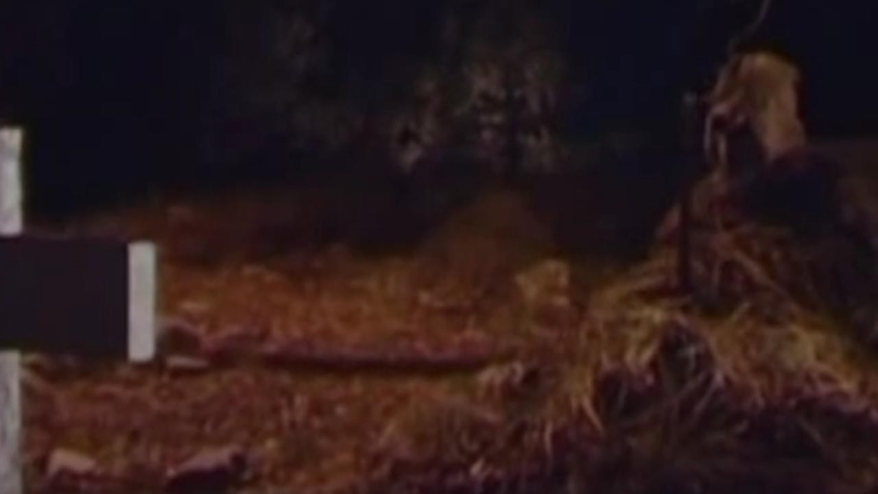 Graveyard of the Dead (Graveyard of the Evil Dead/Graveyard of the Blind Dead)
