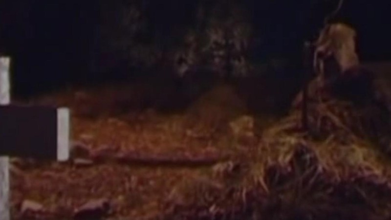 Graveyard of the Dead (Graveyard of the Evil Dead/Graveyard of the Blind Dead)