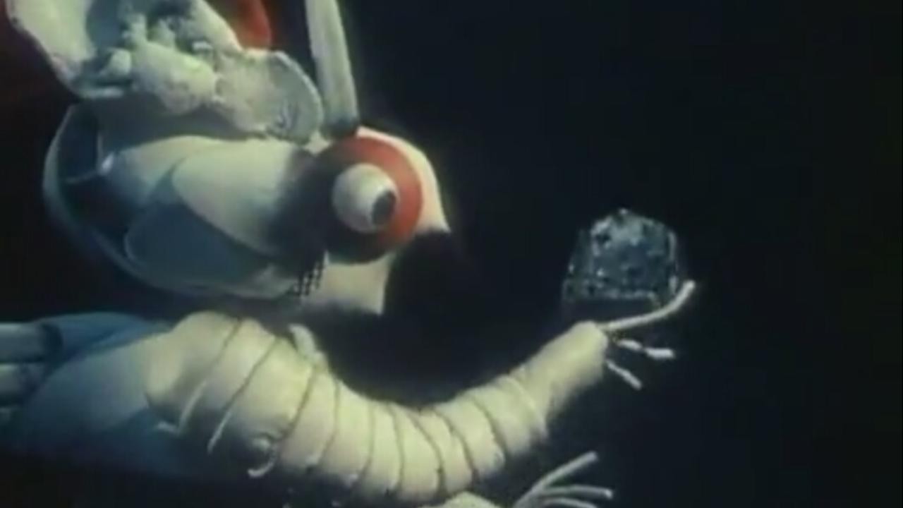 Homunculus