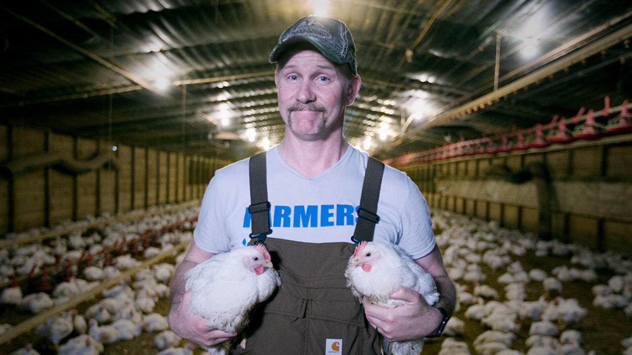 Super Size Me 2: Holy Chicken!