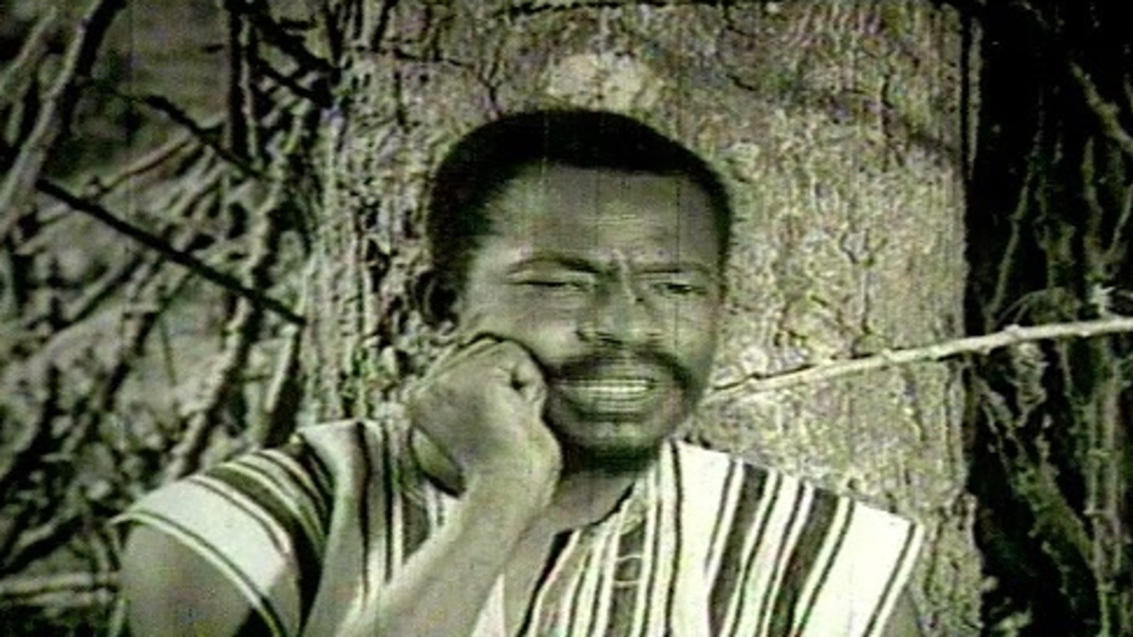 No Tears for Ananse