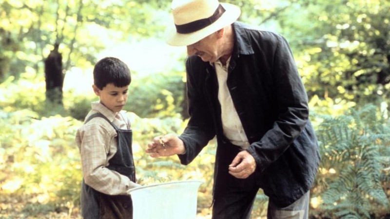 La lengua de las mariposas (1999) | MUBI