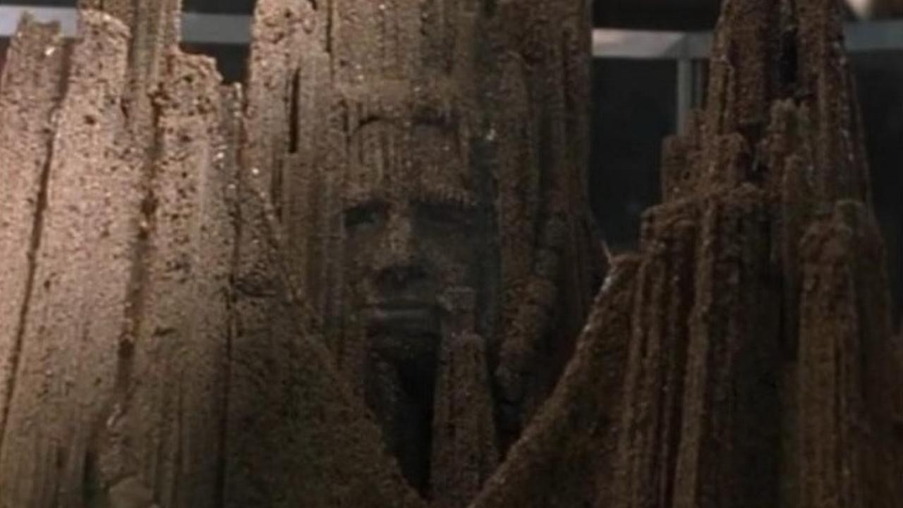 The Outer Limits: Sandkings