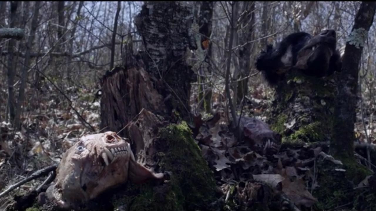 Black Creek