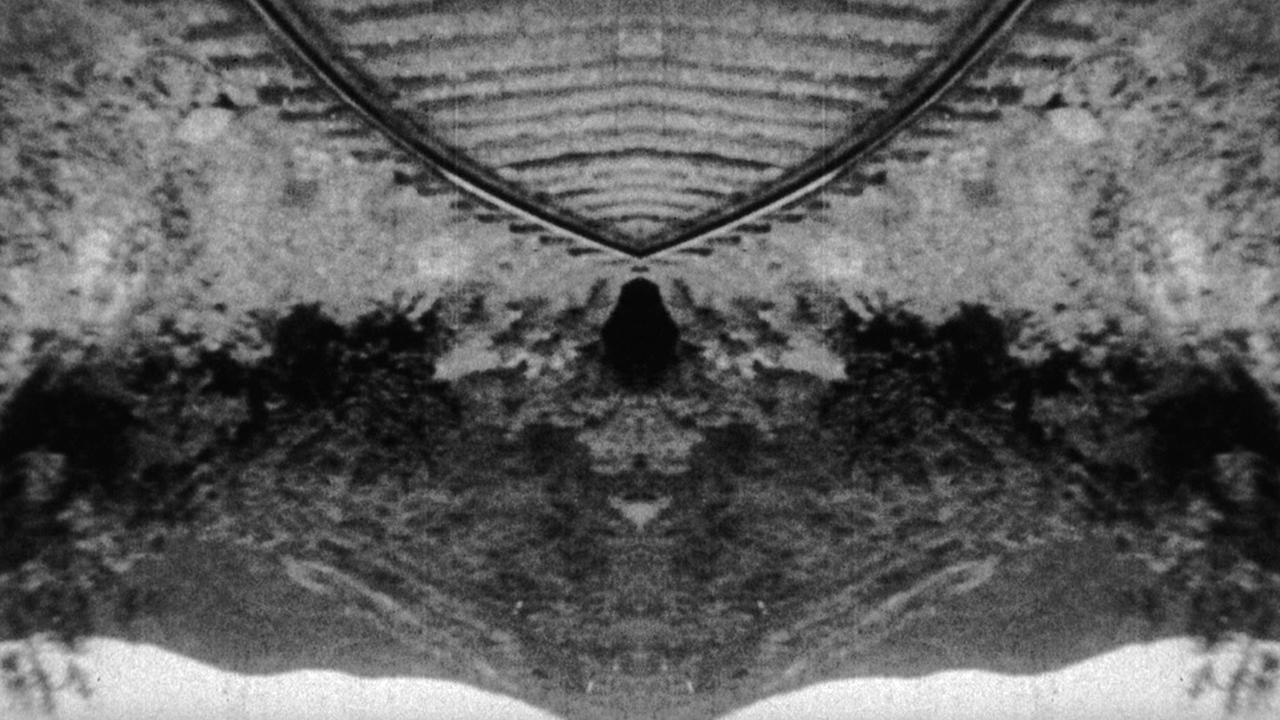 Disorient Express
