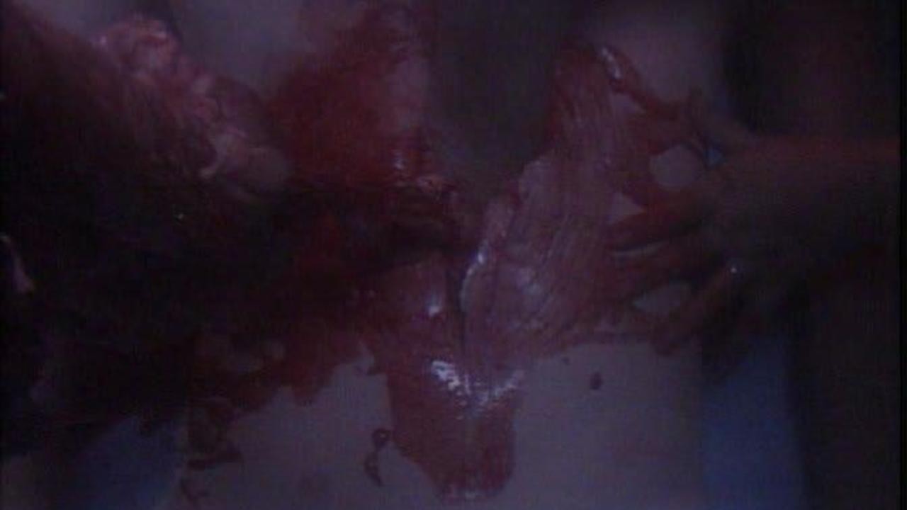 Red Account: My Bloody Angel