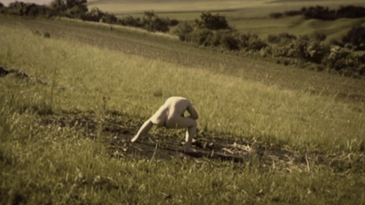 Debris documentar