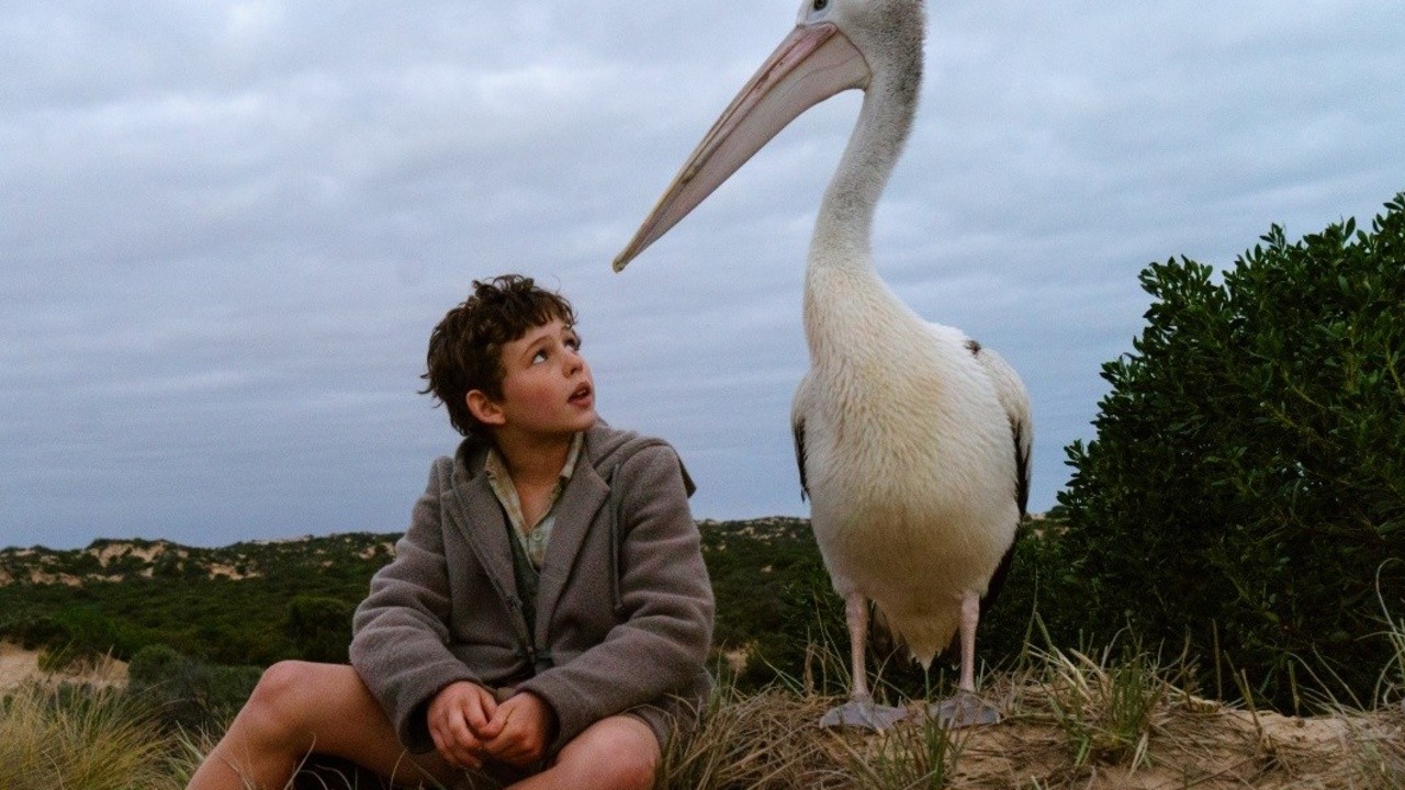 Storm Boy