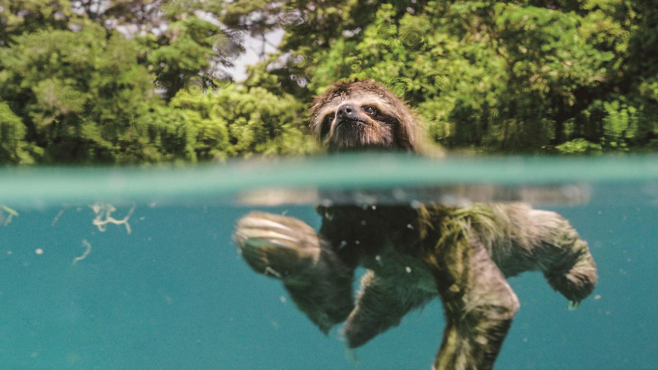Image du film Un nouveau jour sur Terre