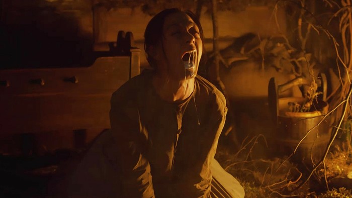 Hagazussa: A Heathen's Curse
