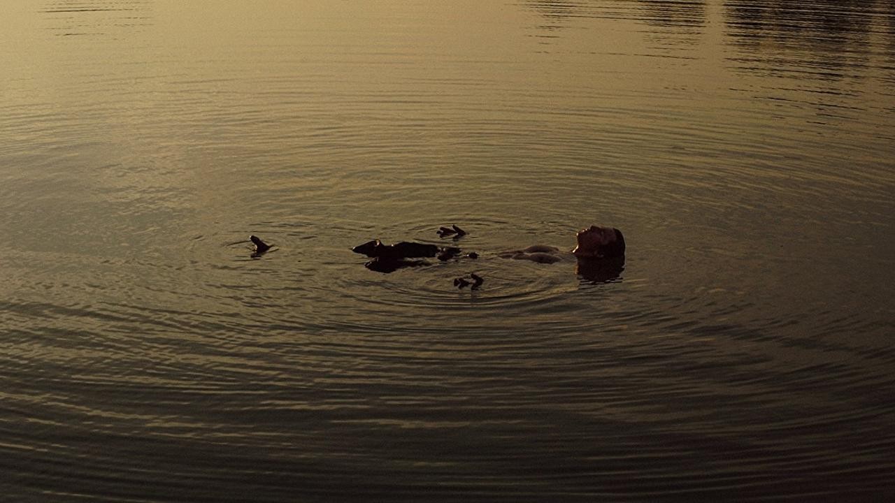 Blackpowder and Guilt