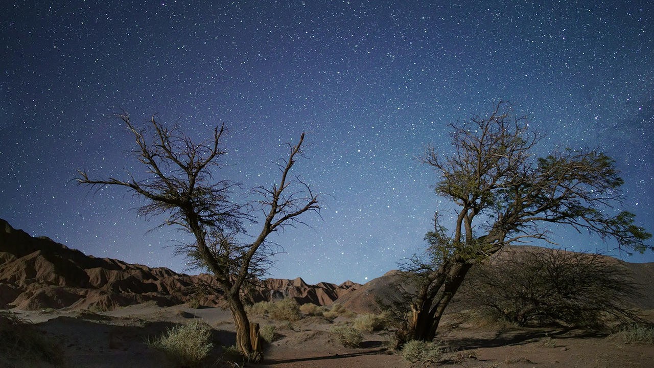 Image du film Cielo