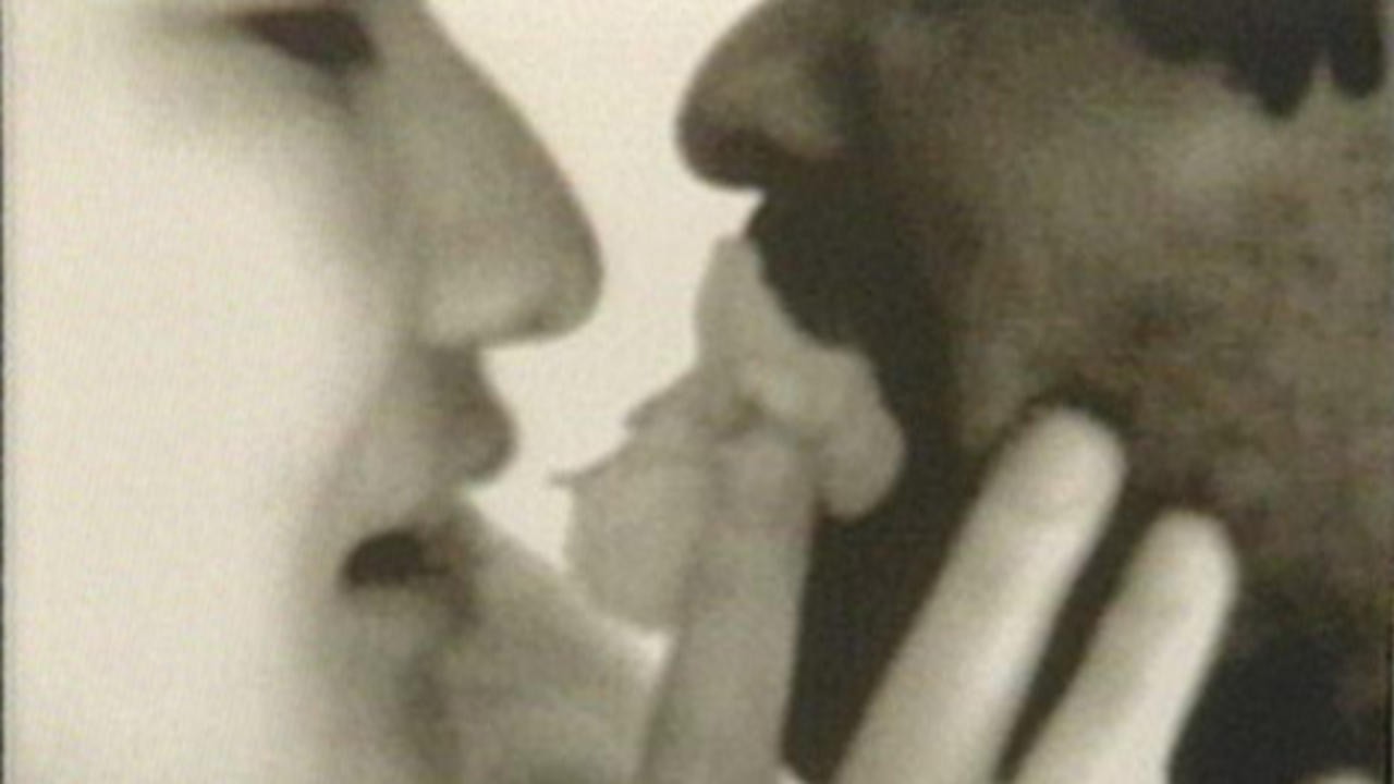 Those Fluttering Objects of Desire