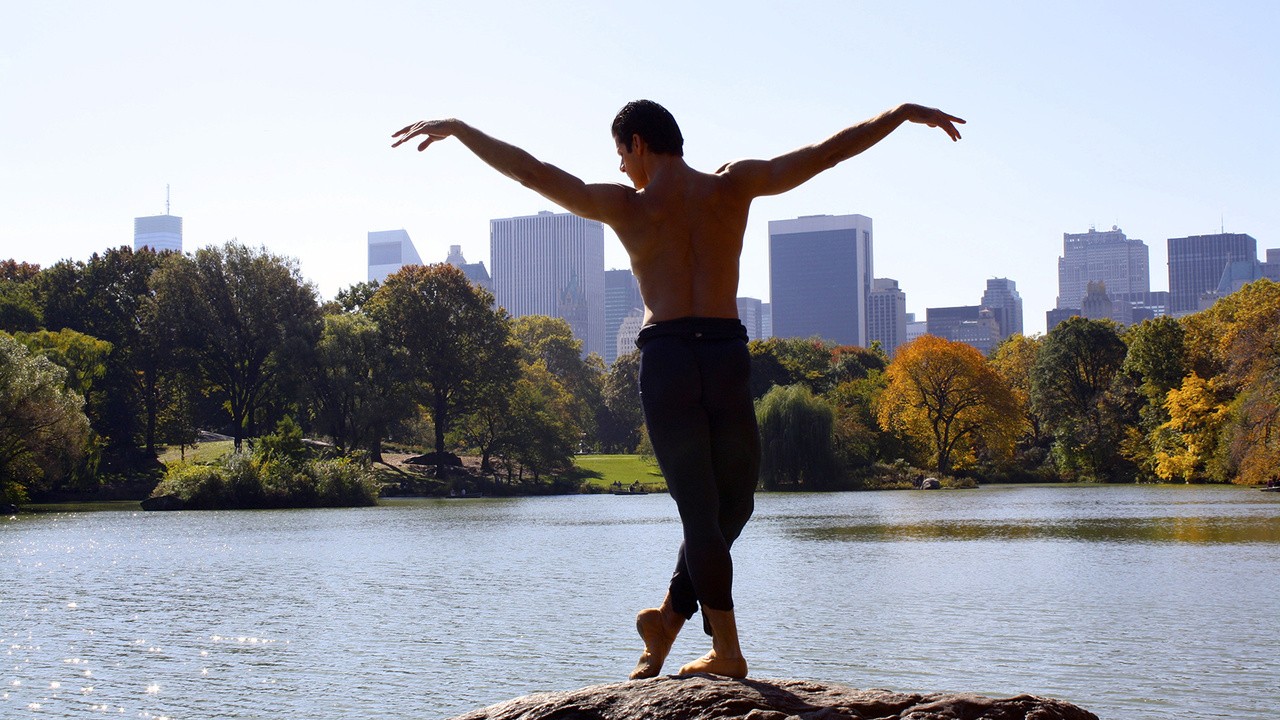 Anatomy of a Male Ballet Dancer