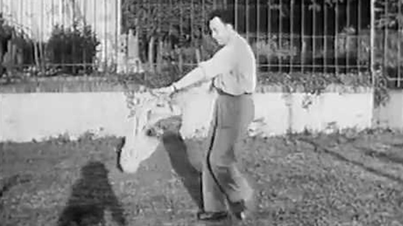 Albert Camus: The Madness of Sincerity