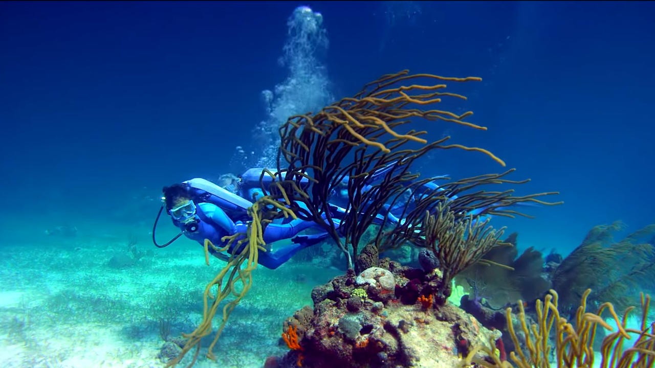 Wonders of the Sea 3D