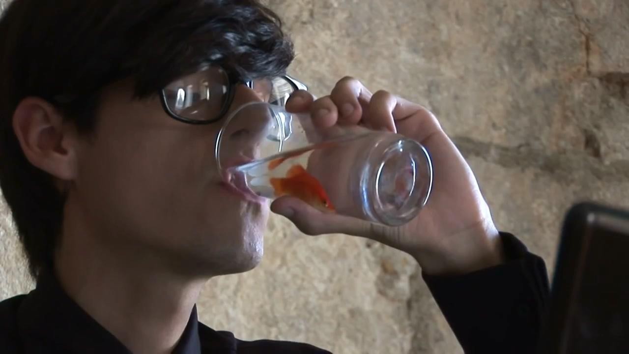 The State That I Am Fish