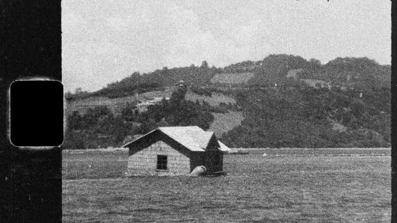 El hilo
