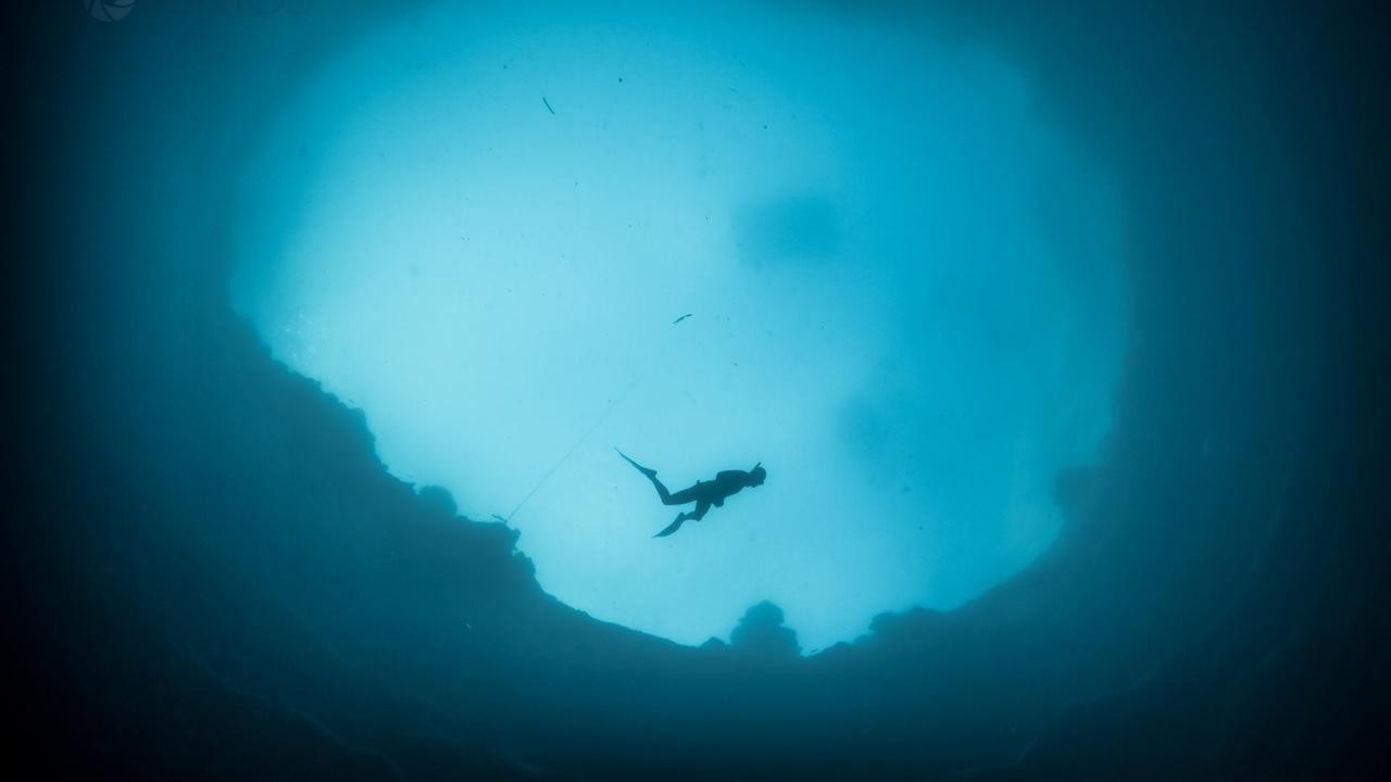 Image du film L'Homme dauphin, sur les traces de Jacques Mayol