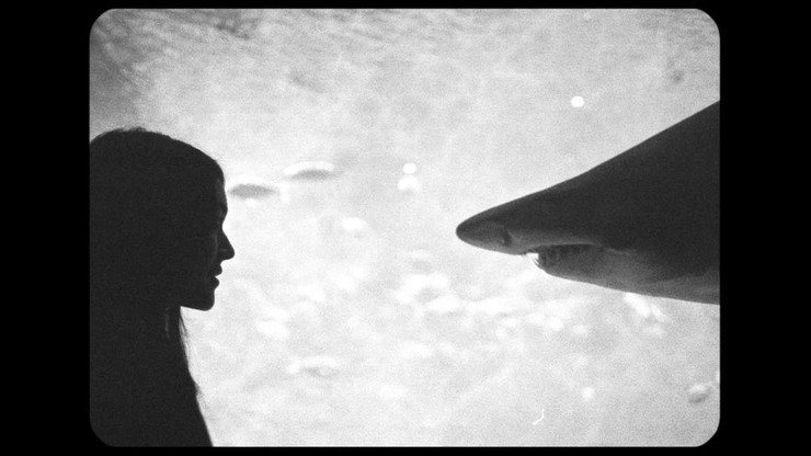 Sitges – Catalonian International Film Festival 2017 – MUBI