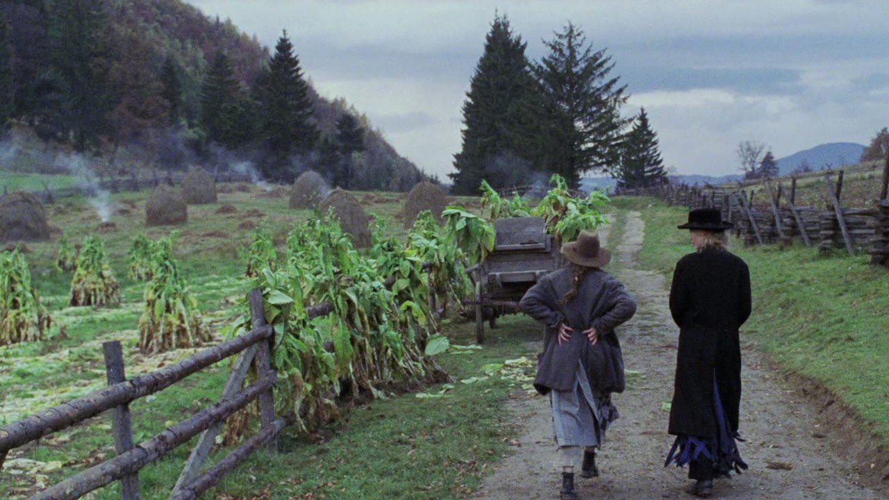 Cold Mountain