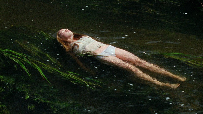 Virgin Woods