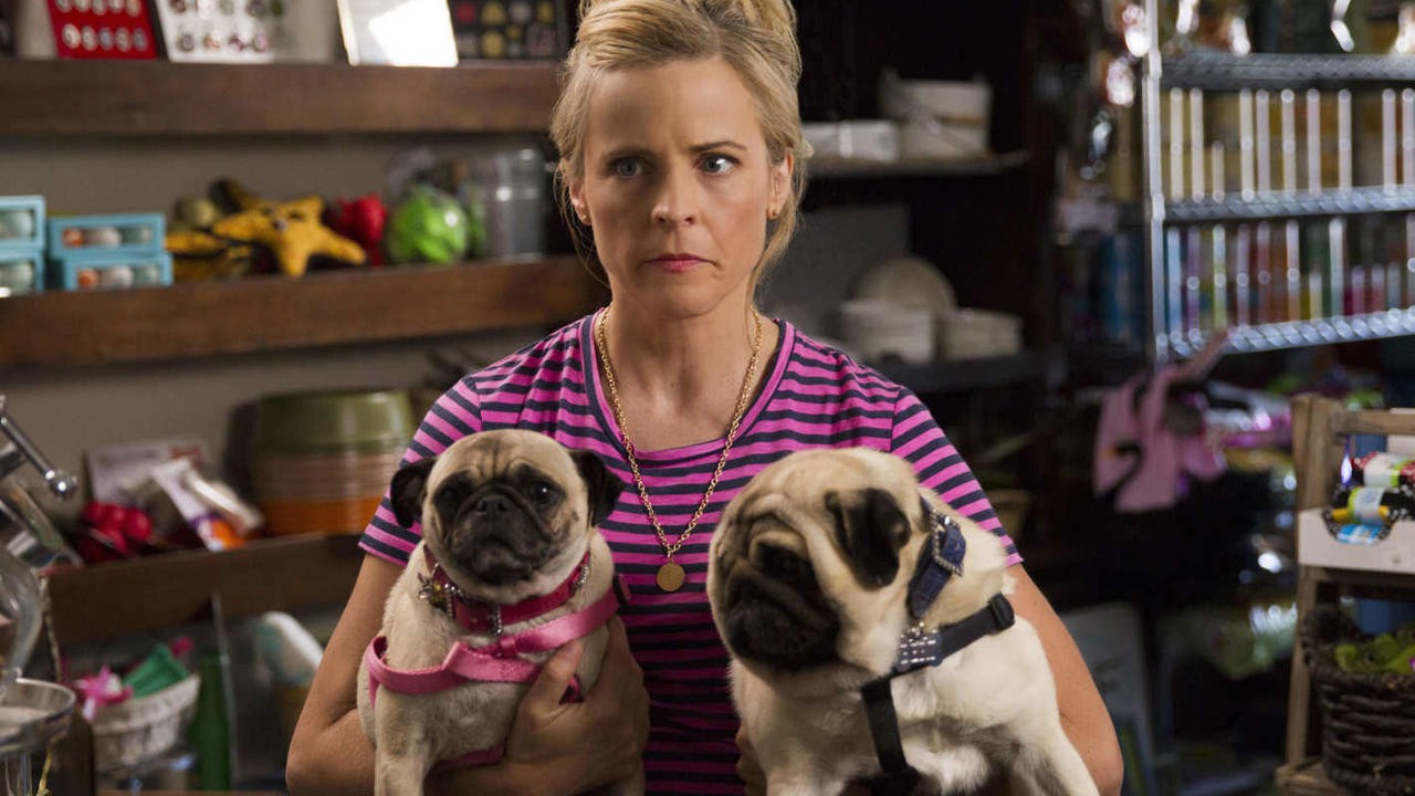 Lady Dynamite