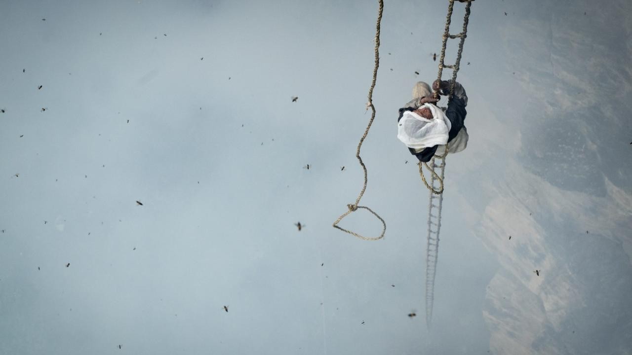 The Last Honey Hunter
