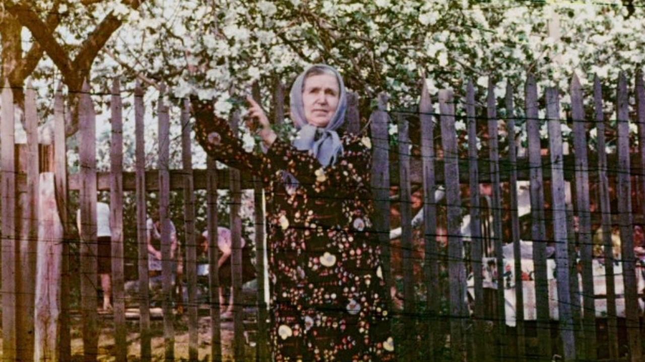 Love Is Potatoes 2017 Mubi