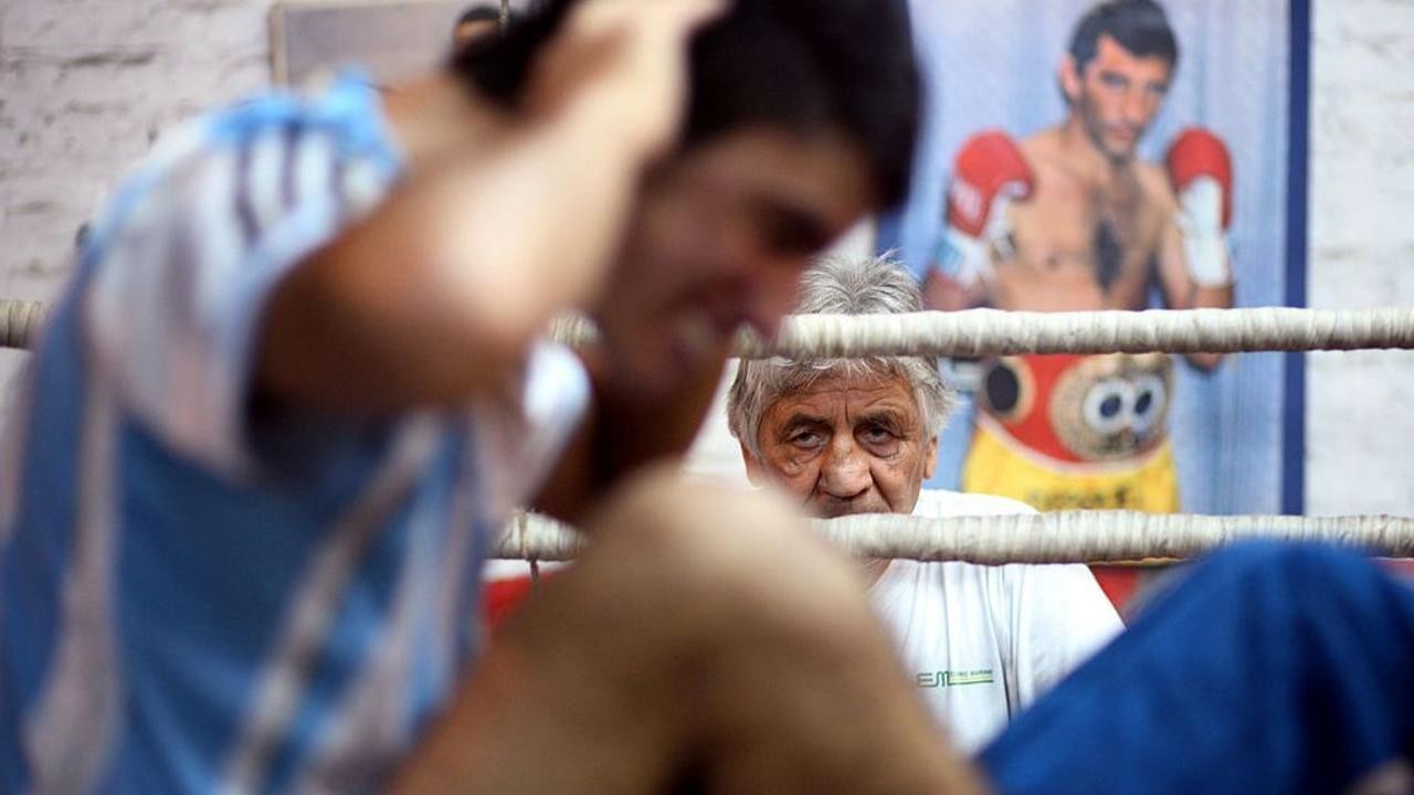 Boxeo Constitución