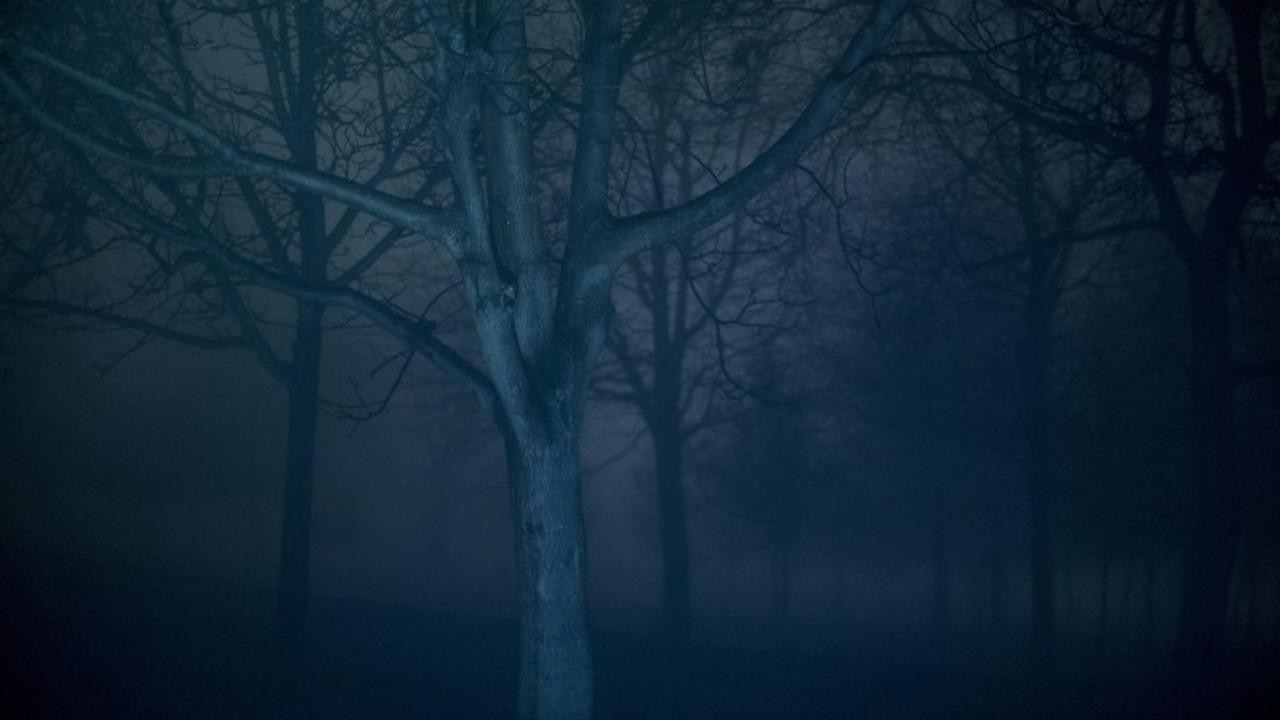 Dying for Beginners / The Key of Silence
