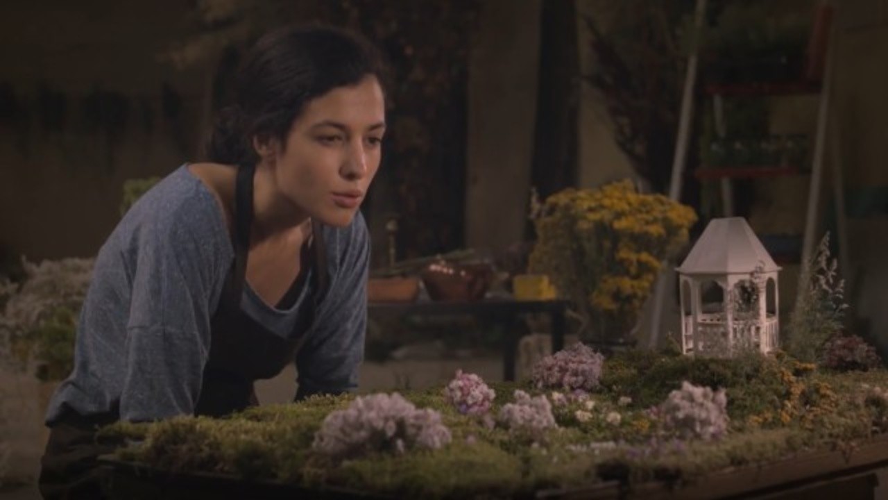 The Infinite Garden