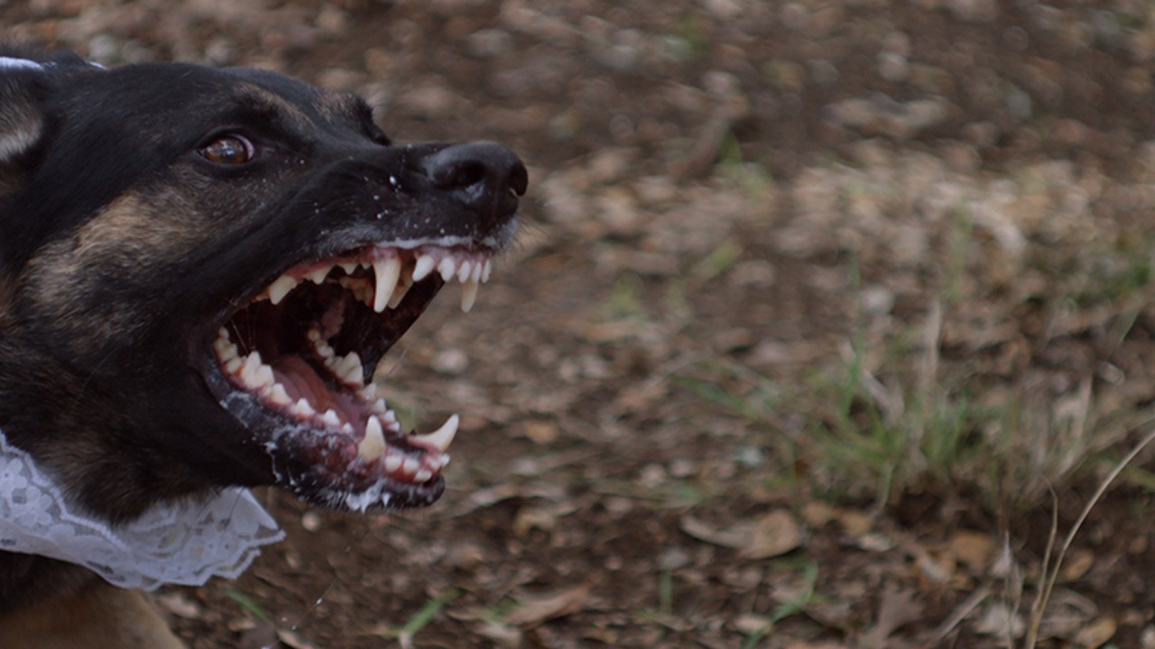 Black Something (2016) | MUBI, image size:1280x720