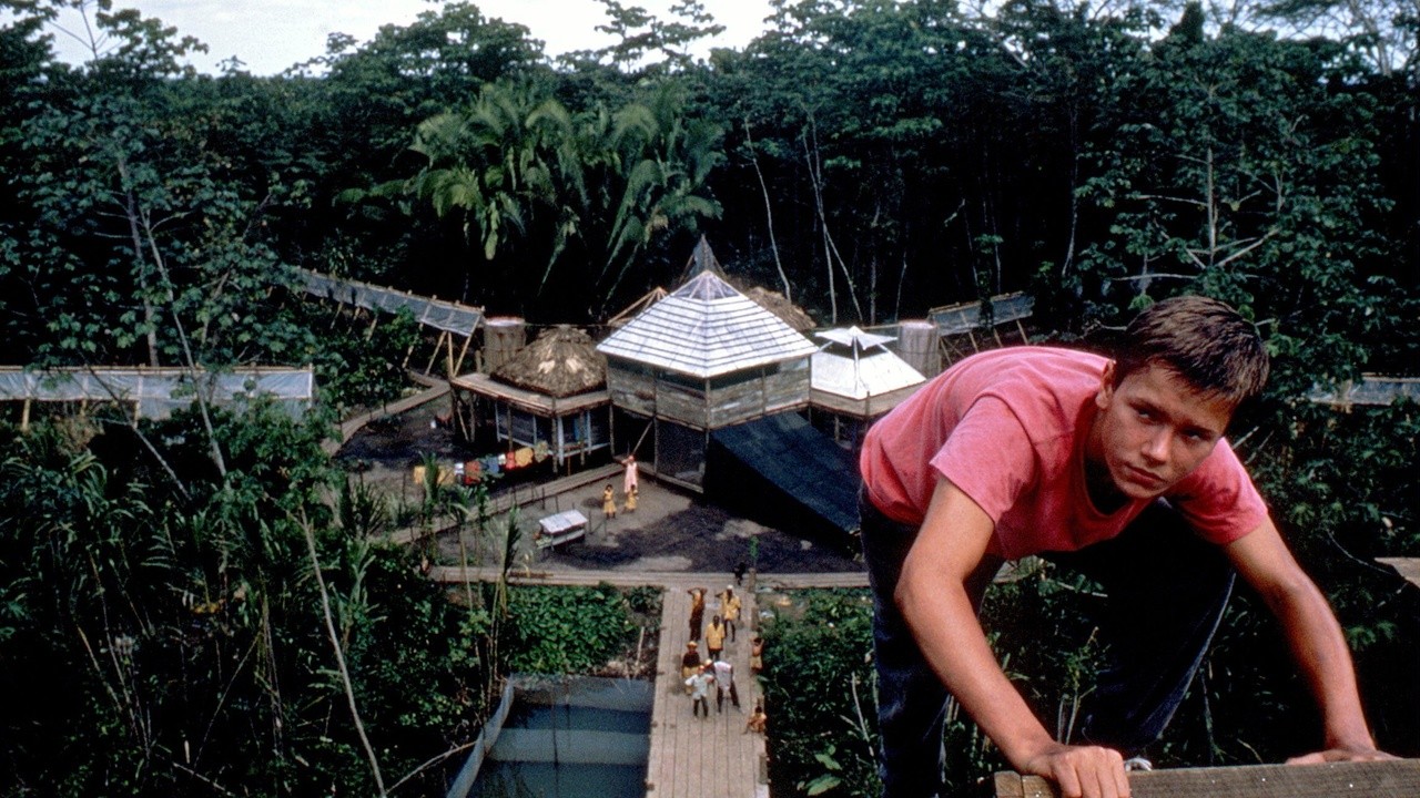 Image du film The Mosquito Coast