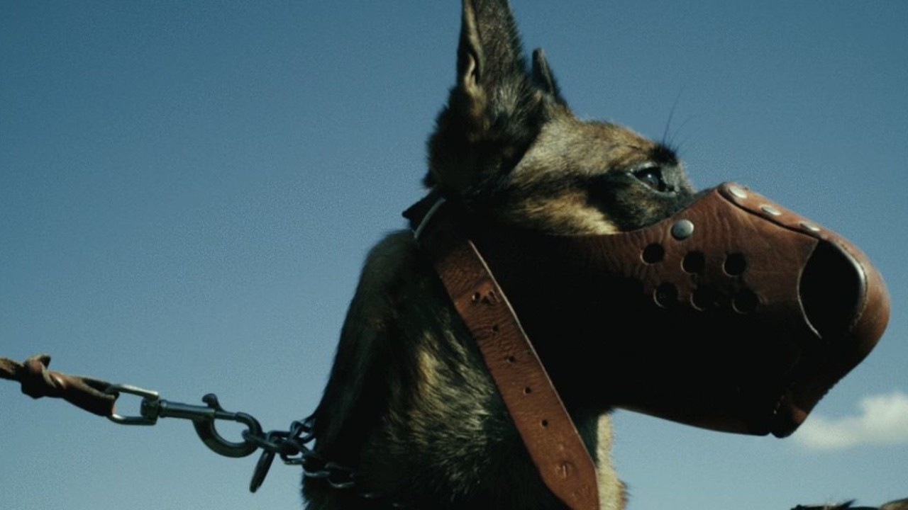 Dog Soldiers