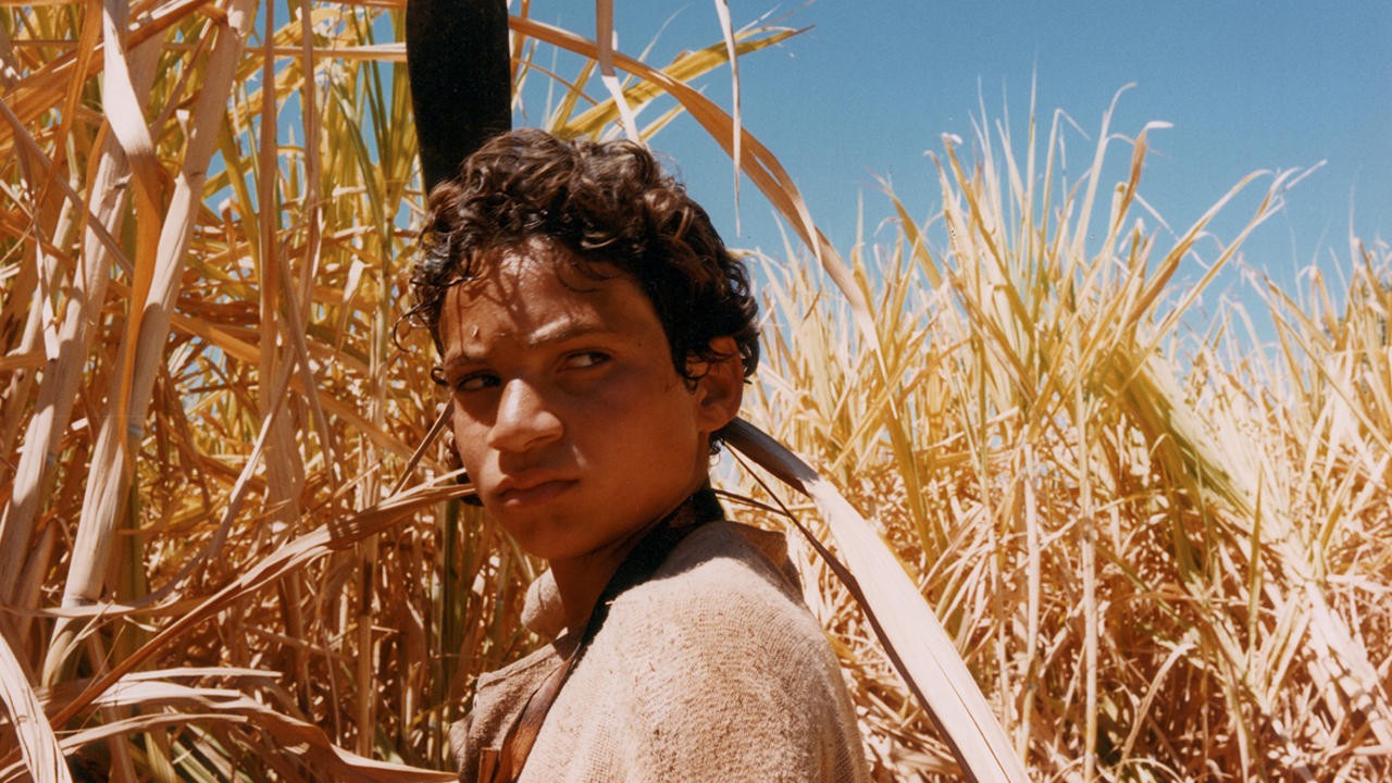 Image du film Avril brisé