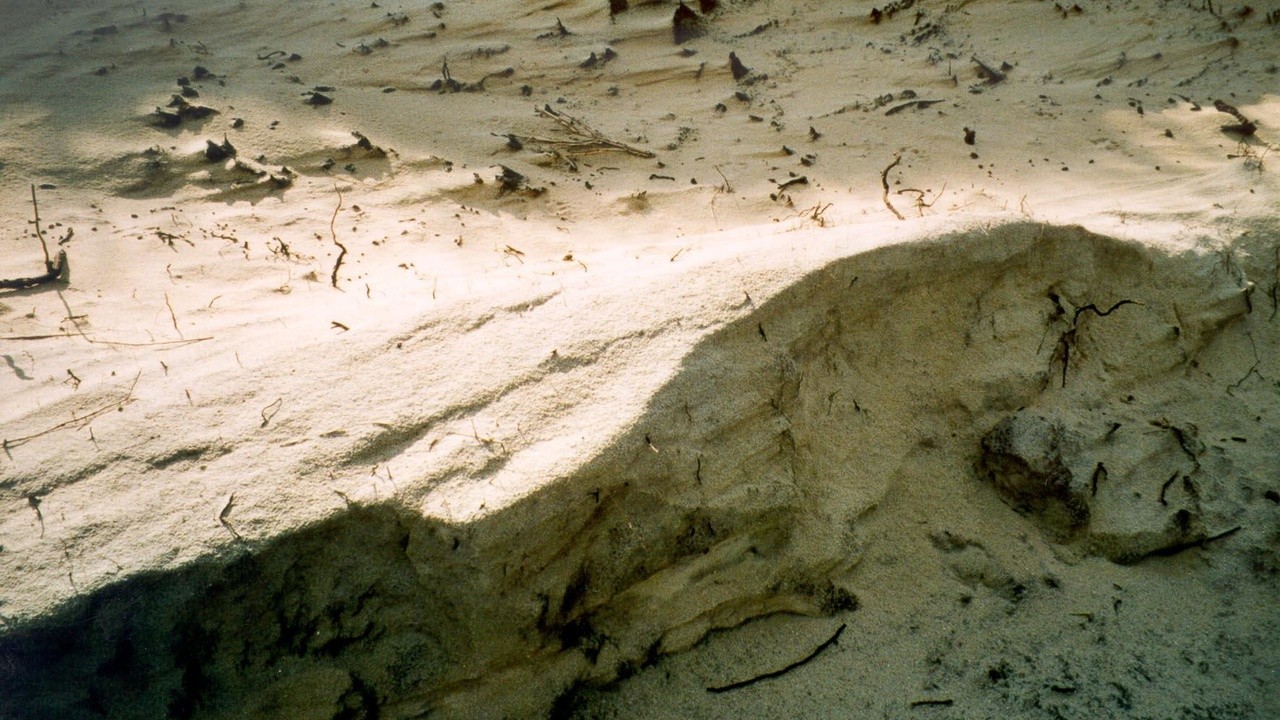 Sand