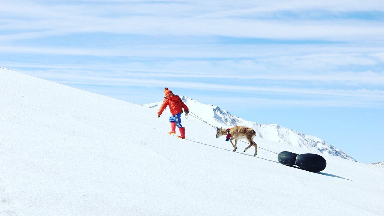 The Skier