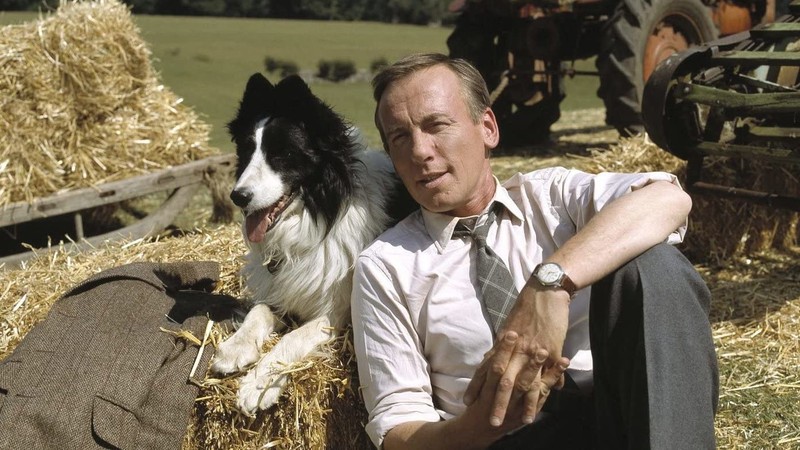 All Creatures Great and Small (1978) | MUBI