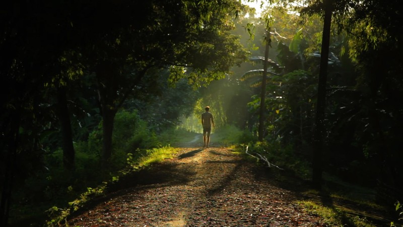 Forest Man (2013) | MUBI